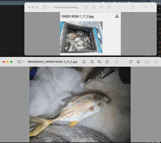 SchermĀafbeelding 2024-07-23 om 18.03.23