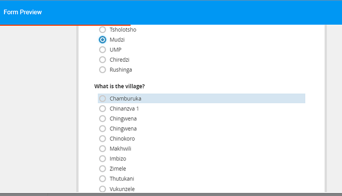 Cascadingselect_afterSuggestion_preview
