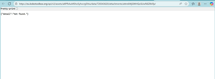 Screenshot 2026-02-04 111007